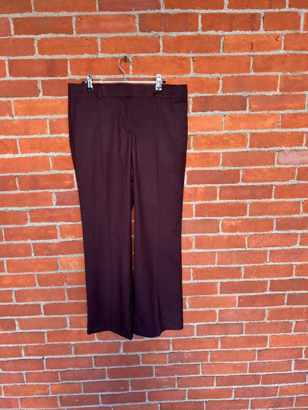 Ann Taylor The Jayne Chocolate Brown Wide Leg Pants 10P FA25 New without tags
